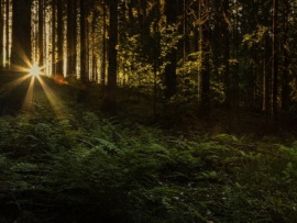 Sonnenaufgang Sonnenaufgang